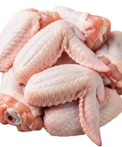 Bulk Chicken Wings Supplier